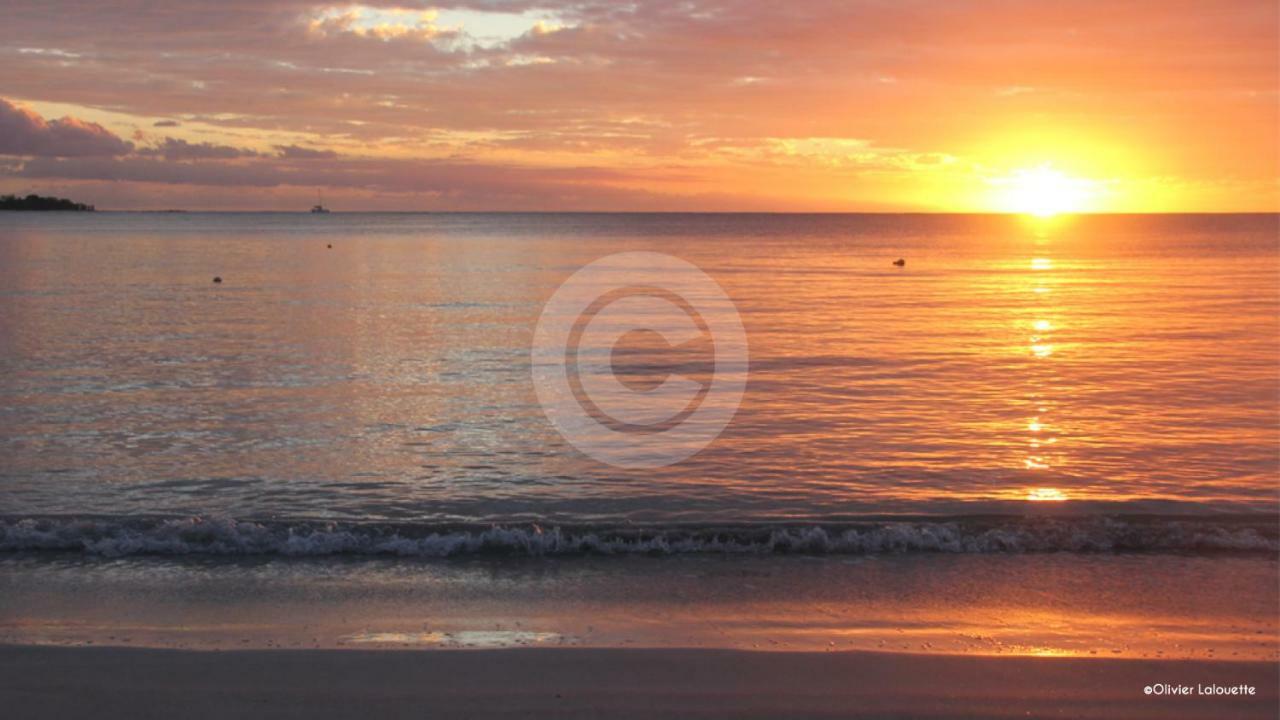 Fantastic Spacious Beachfront Villavacances Grand Baie Exteriör bild