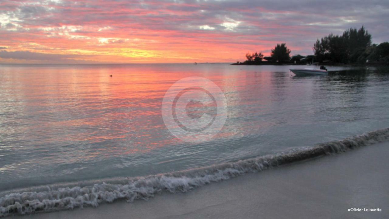 Fantastic Spacious Beachfront Villavacances Grand Baie Exteriör bild